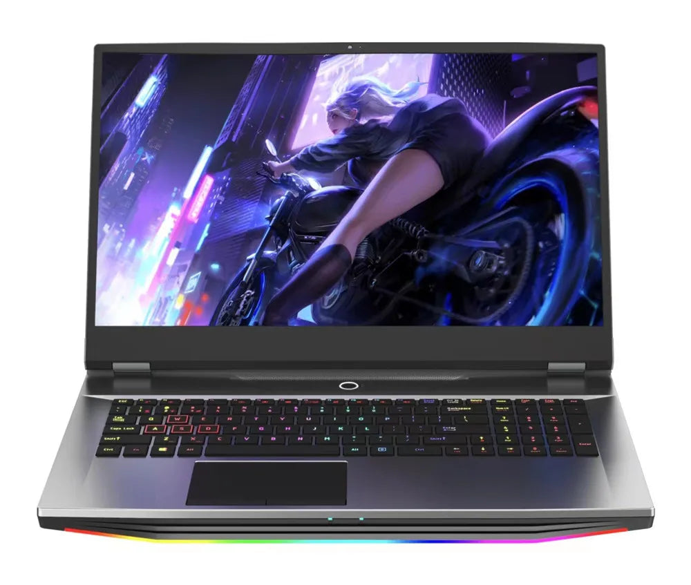 Ordinateur portable de jeu FHD IPS de 17,3 pouces Intel i7-10750H Max GTX1650 Windows 10 PRO 32 Go 1 To SSD Notebook Gamer PC
