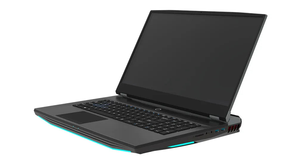 Ordinateur portable de jeu FHD IPS de 17,3 pouces Intel i7-10750H Max GTX1650 Windows 10 PRO 32 Go 1 To SSD Notebook Gamer PC