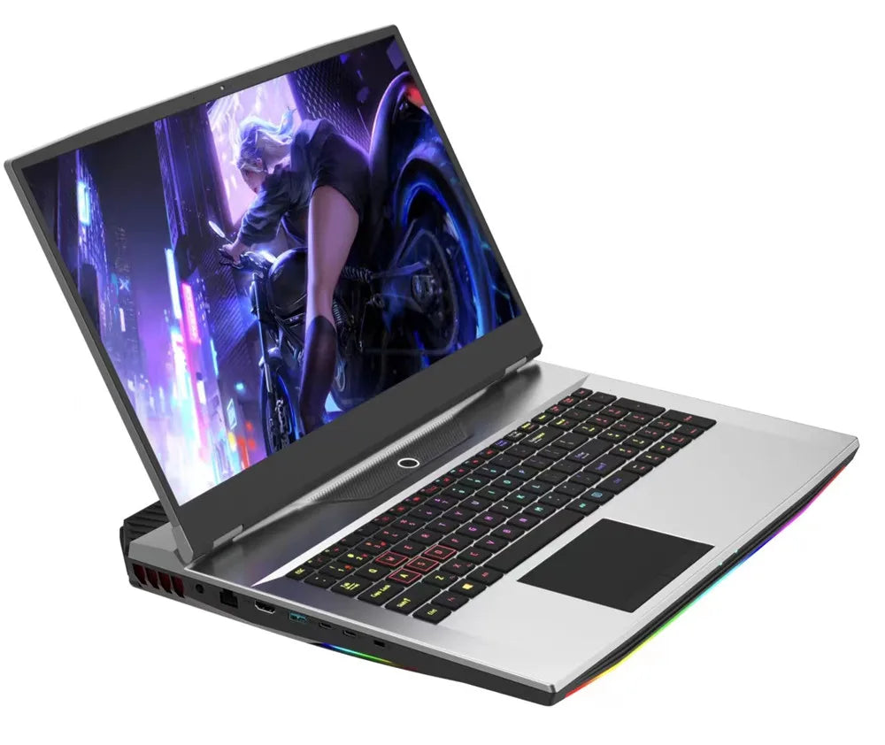 Ordinateur portable de jeu FHD IPS de 17,3 pouces Intel i7-10750H Max GTX1650 Windows 10 PRO 32 Go 1 To SSD Notebook Gamer PC
