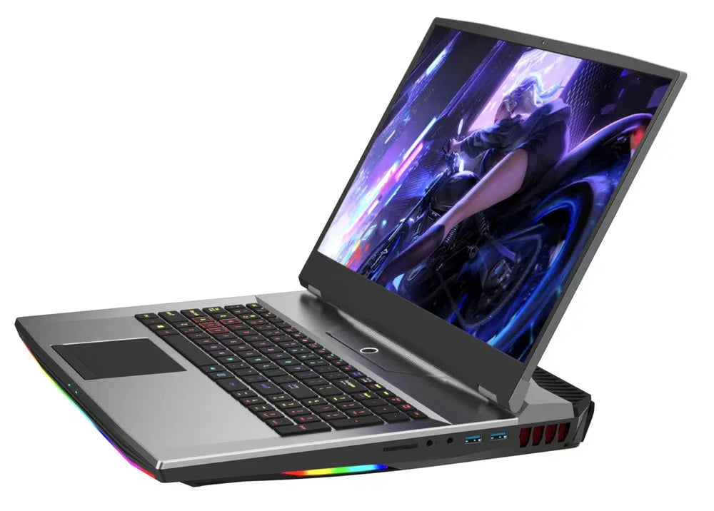 Ordinateur portable de jeu FHD IPS de 17,3 pouces Intel i7-10750H Max GTX1650 Windows 10 PRO 32 Go 1 To SSD Notebook Gamer PC