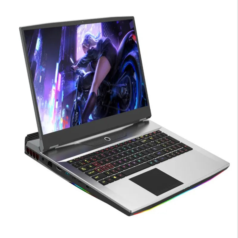 Ordinateur portable de jeu FHD IPS de 17,3 pouces Intel i7-10750H Max GTX1650 Windows 10 PRO 32 Go 1 To SSD Notebook Gamer PC