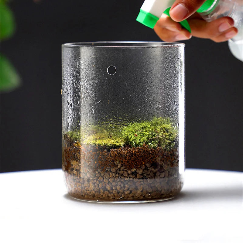 Glass Bottles Creativity Dew Collection Glass Vase Micro Landscape Succulent Moss Bansai Landscape Glass Terrarium Home Decor