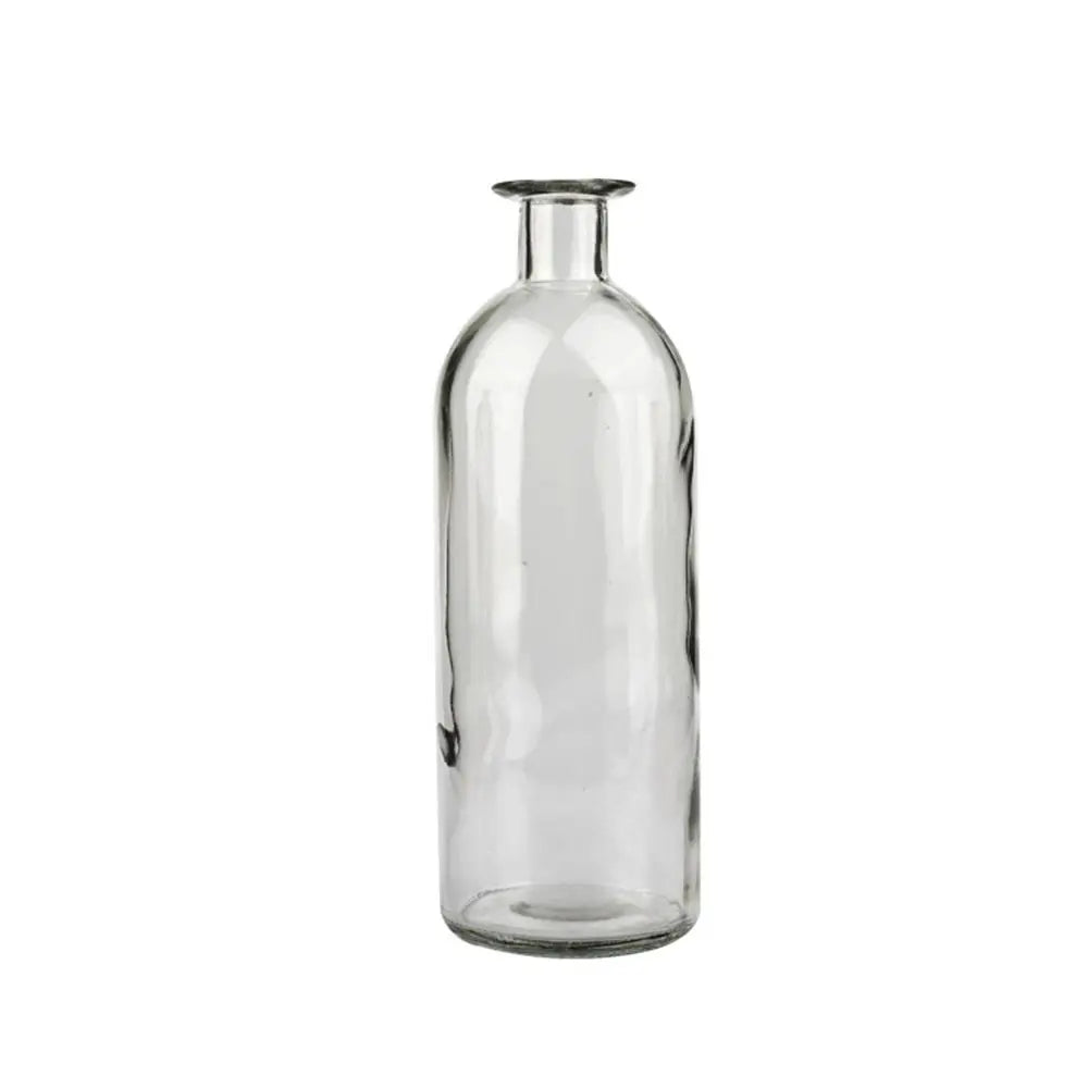Plante hydroponique transparente, décoration florale pour salon, bouteille en verre, vase en verre, décoration de table, décoration d'intérieur
