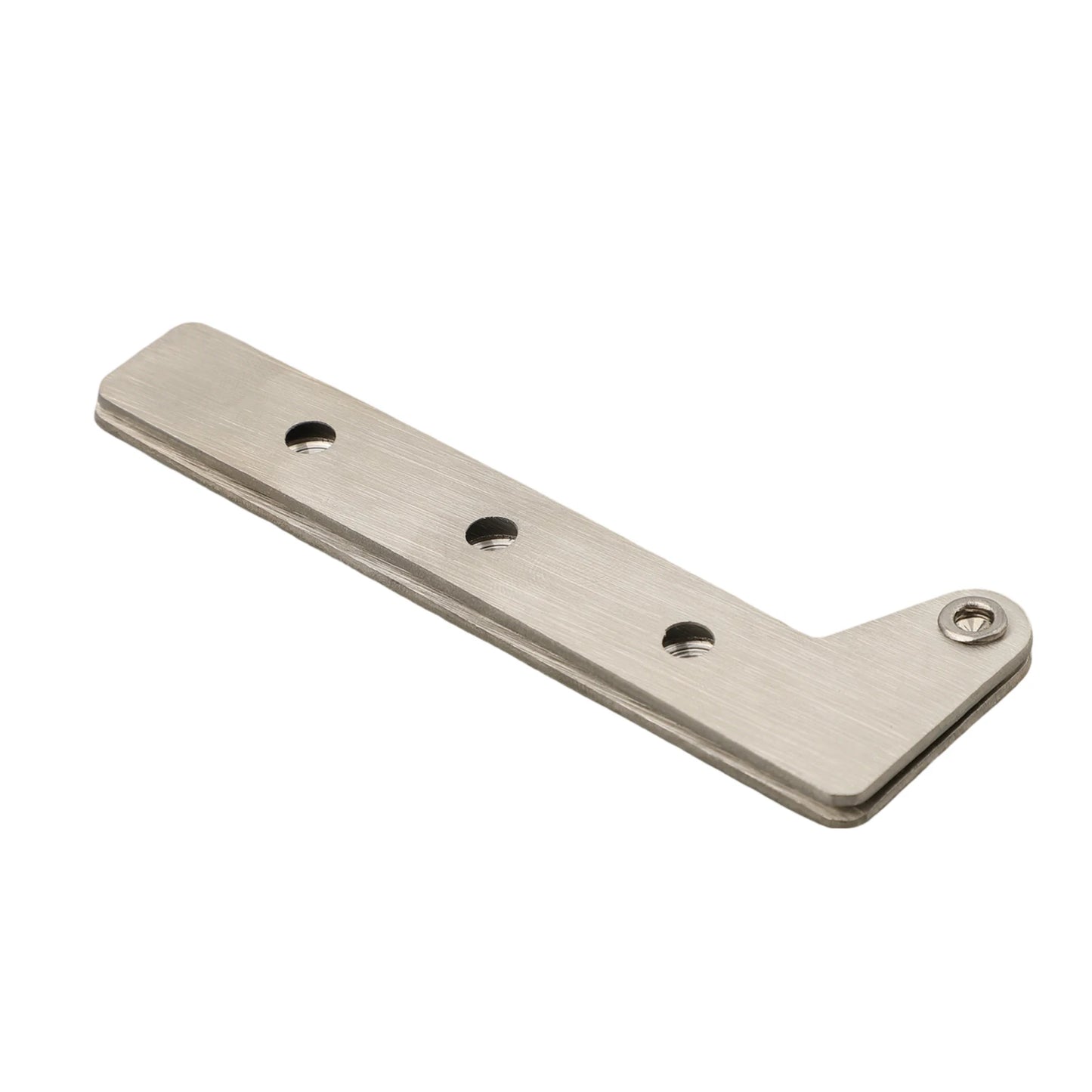 Drehbares Hardware-Drehscharnier aus Edelstahl, Ton, unsichtbare Drehtürscharniere für Personen