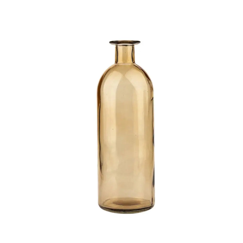 Plante hydroponique transparente, décoration florale pour salon, bouteille en verre, vase en verre, décoration de table, décoration d'intérieur