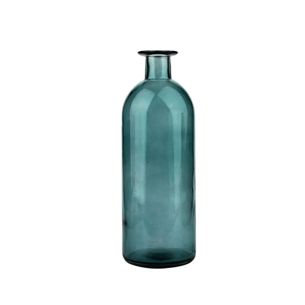 Plante hydroponique transparente, décoration florale pour salon, bouteille en verre, vase en verre, décoration de table, décoration d'intérieur