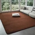 VIKAMA Tapis Moderne en Velours de Corail Doux Antidérapant pour Salon Chambre Grand Tapis de Jeu pour Enfants Tapis de Sol pour la Décoration Intérieure