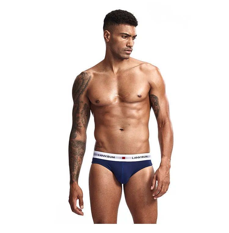 3 Stk. 【LORIEN CREST】 Herren Pure Baumwolle Tiefsitzende Elastische Sexy Lockere Atmungsaktive Jugend Panty-Bund Unterwäsche Sommer Baumwollslips