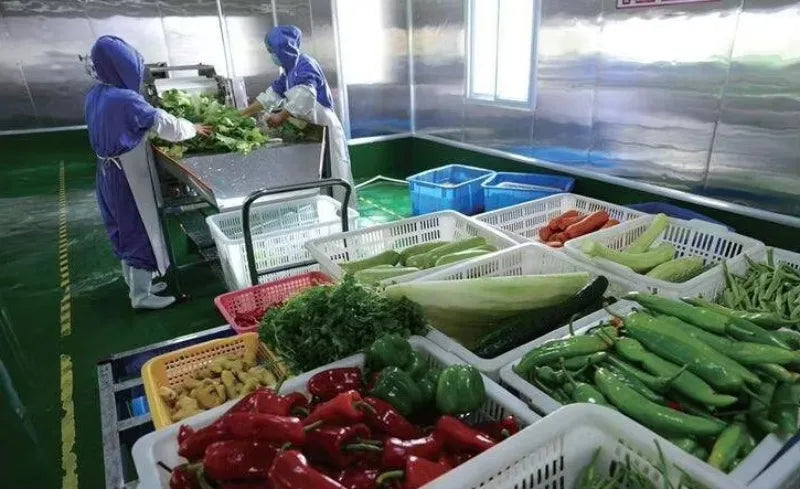 Factory Price Commercial Cold Room Quick Freezer Container Freezer 20Ft Cold Room