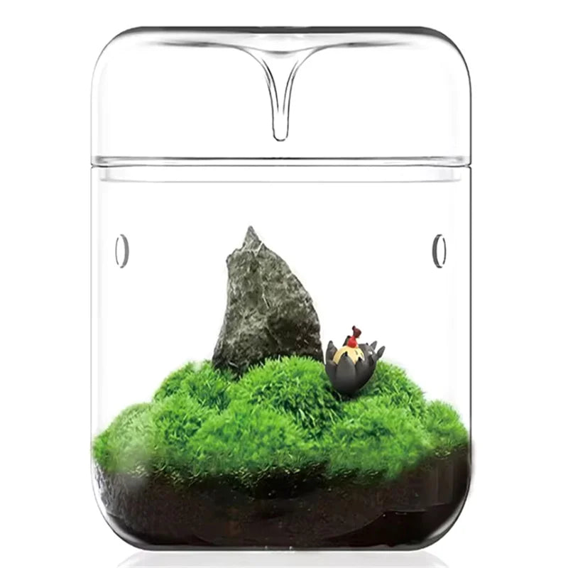 Glass Bottles Creativity Dew Collection Glass Vase Micro Landscape Succulent Moss Bansai Landscape Glass Terrarium Home Decor