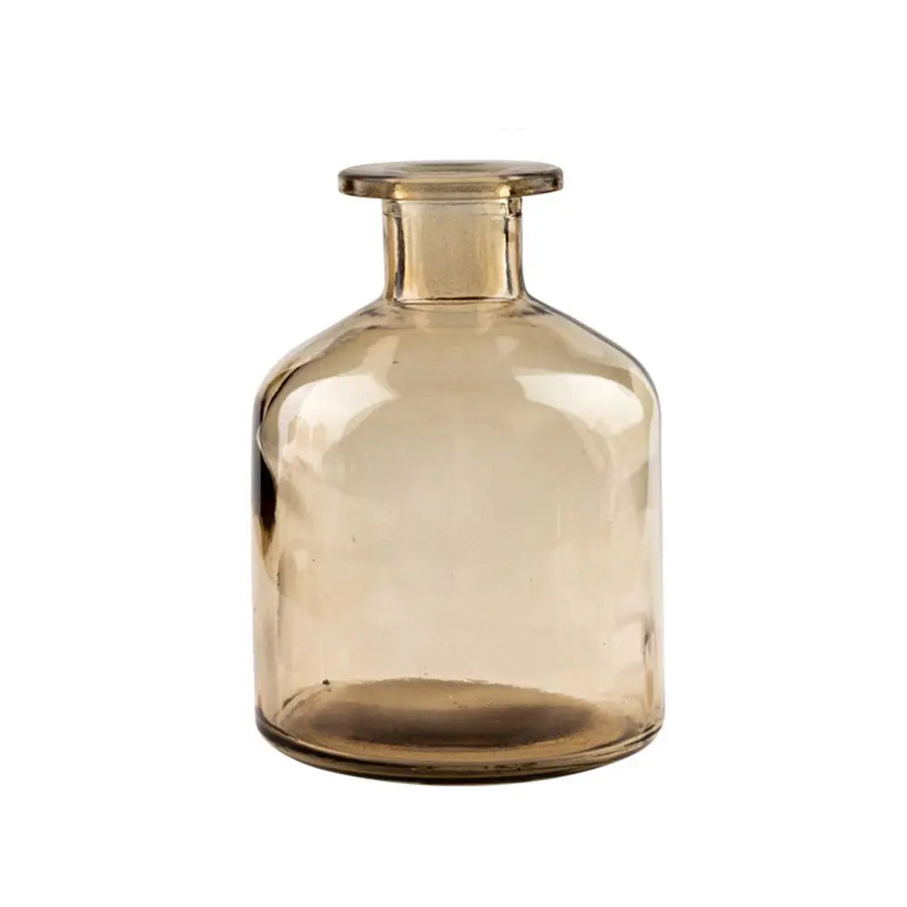 Plante hydroponique transparente, décoration florale pour salon, bouteille en verre, vase en verre, décoration de table, décoration d'intérieur