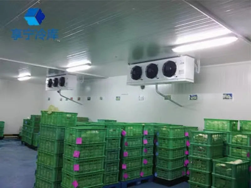 Factory Price Commercial Cold Room Quick Freezer Container Freezer 20Ft Cold Room