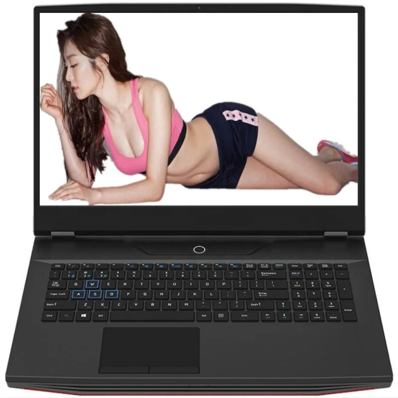 Ordinateur portable de jeu FHD IPS de 17,3 pouces Intel i7-10750H Max GTX1650 Windows 10 PRO 32 Go 1 To SSD Notebook Gamer PC