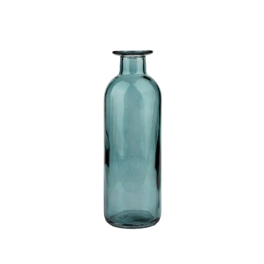 Plante hydroponique transparente, décoration florale pour salon, bouteille en verre, vase en verre, décoration de table, décoration d'intérieur