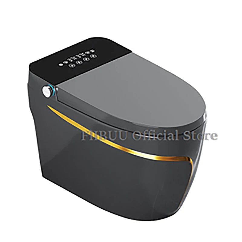 Einteilige, längliche Smart-Toilette mit Bidet, eingebautem Wassertank, wasserdruckunabhängig, Display, AutoOpen, AutoFlush, beheizbarer Sitz
