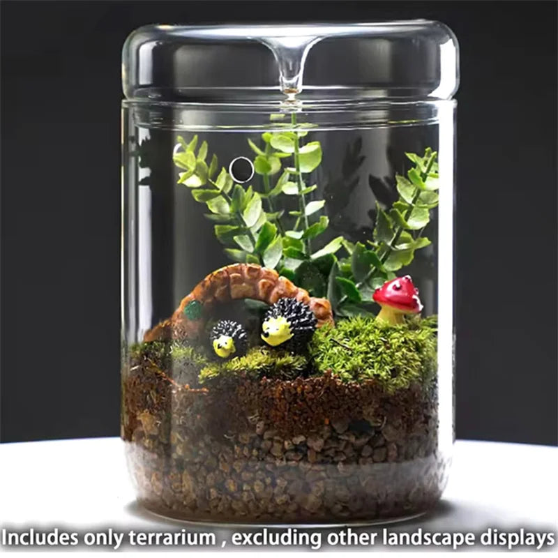 Glass Bottles Creativity Dew Collection Glass Vase Micro Landscape Succulent Moss Bansai Landscape Glass Terrarium Home Decor