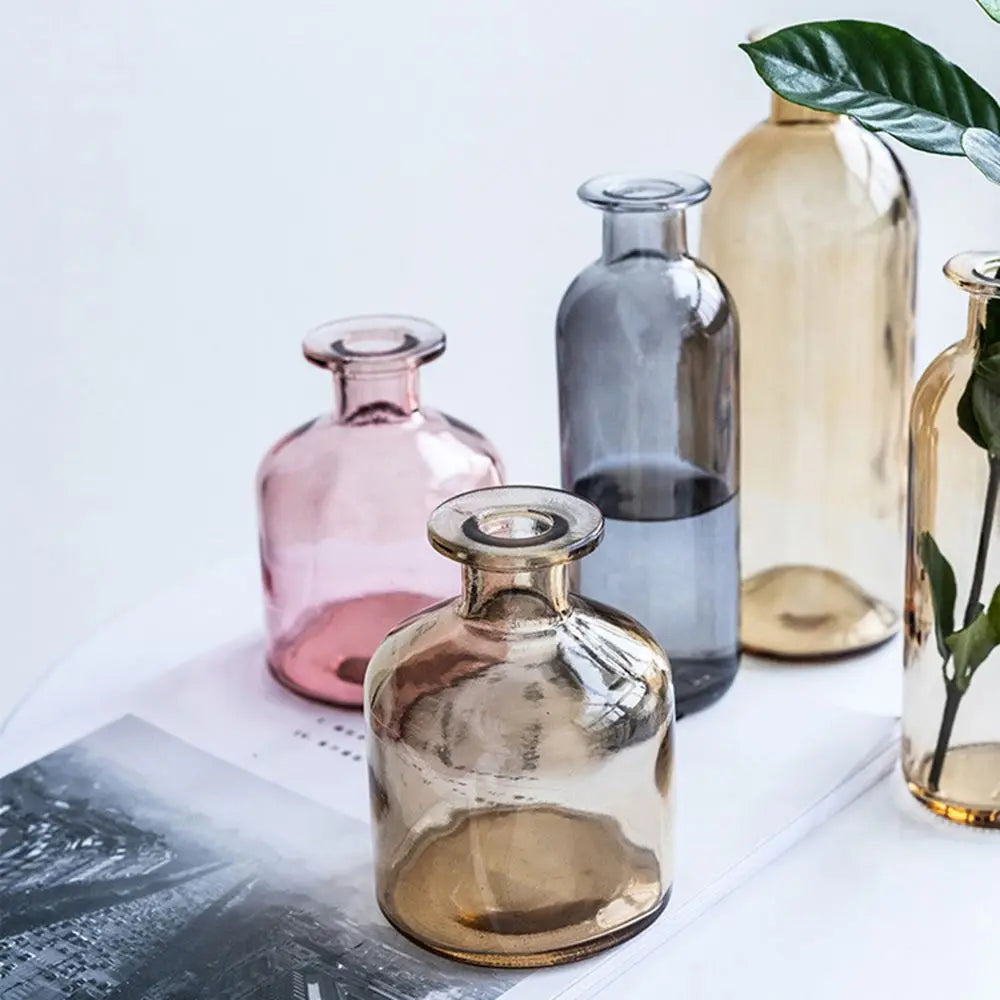 Plante hydroponique transparente, décoration florale pour salon, bouteille en verre, vase en verre, décoration de table, décoration d'intérieur