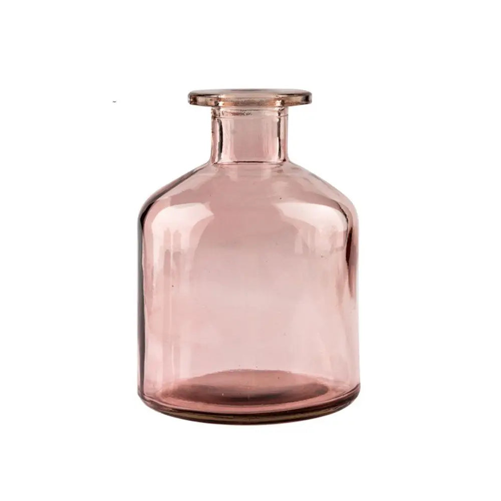 Plante hydroponique transparente, décoration florale pour salon, bouteille en verre, vase en verre, décoration de table, décoration d'intérieur