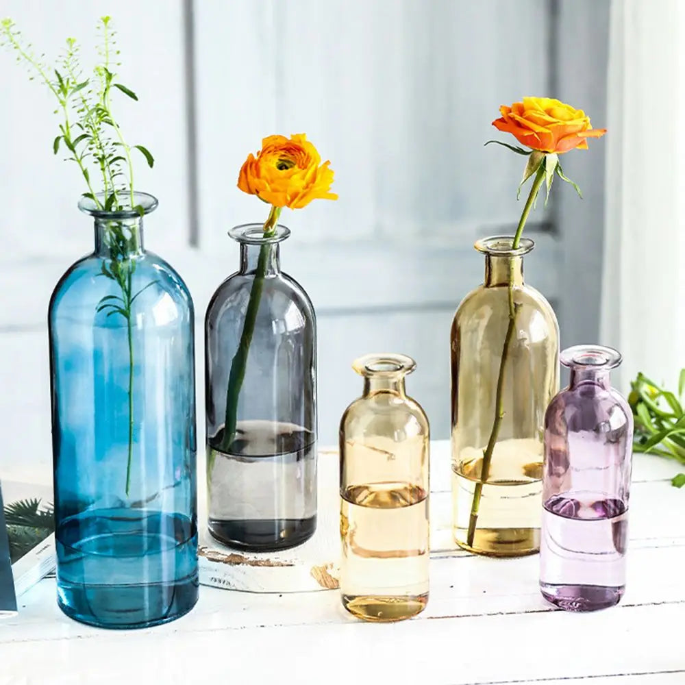 Plante hydroponique transparente, décoration florale pour salon, bouteille en verre, vase en verre, décoration de table, décoration d'intérieur