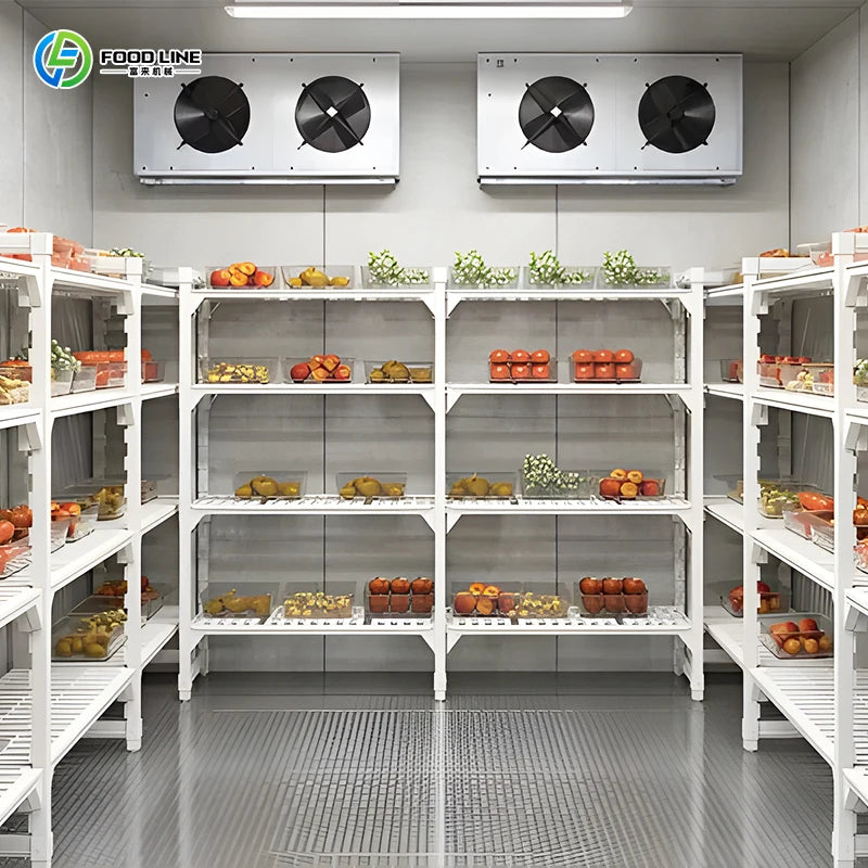 Factory Price Commercial Cold Room Quick Freezer Container Freezer 20Ft Cold Room