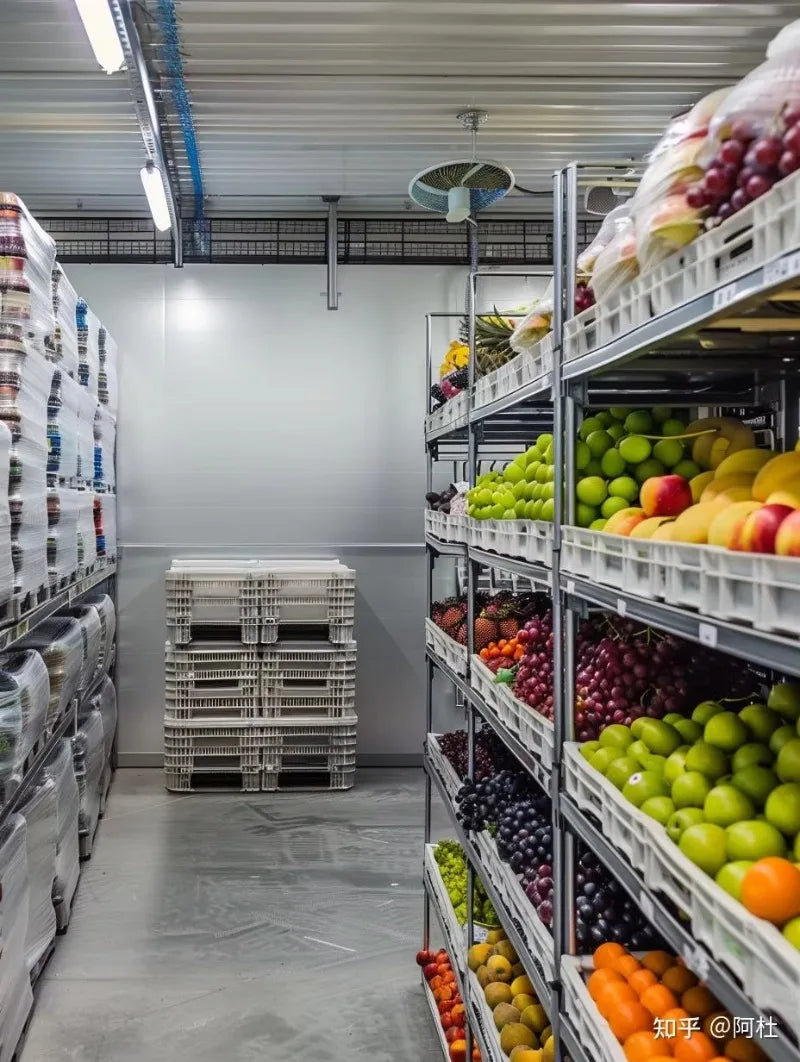 Factory Price Commercial Cold Room Quick Freezer Container Freezer 20Ft Cold Room