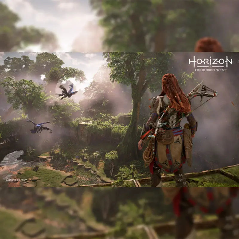 Sony PS4 Playstation4 Horizon Forbidden West PS4 Brandneu Original Lizenziertes Neues Spiel CD-Spiel Playstation 4 Spiele PS4 Horizon