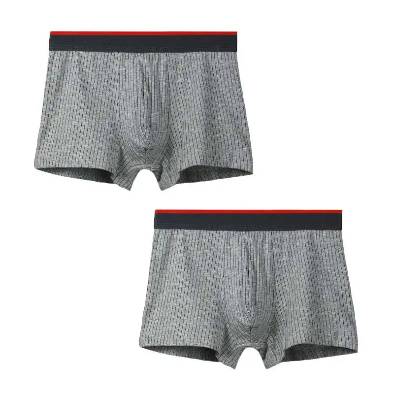 2 boxers homme en pur coton, slips, adolescents grande taille, shorts, sous-vêtements fins d'été