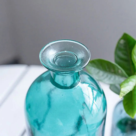 Transparent Hydroponic Plant Living Room Flower Decoration Glass Bottle Flower Vase Glass Vase Home Decoration Table Decor