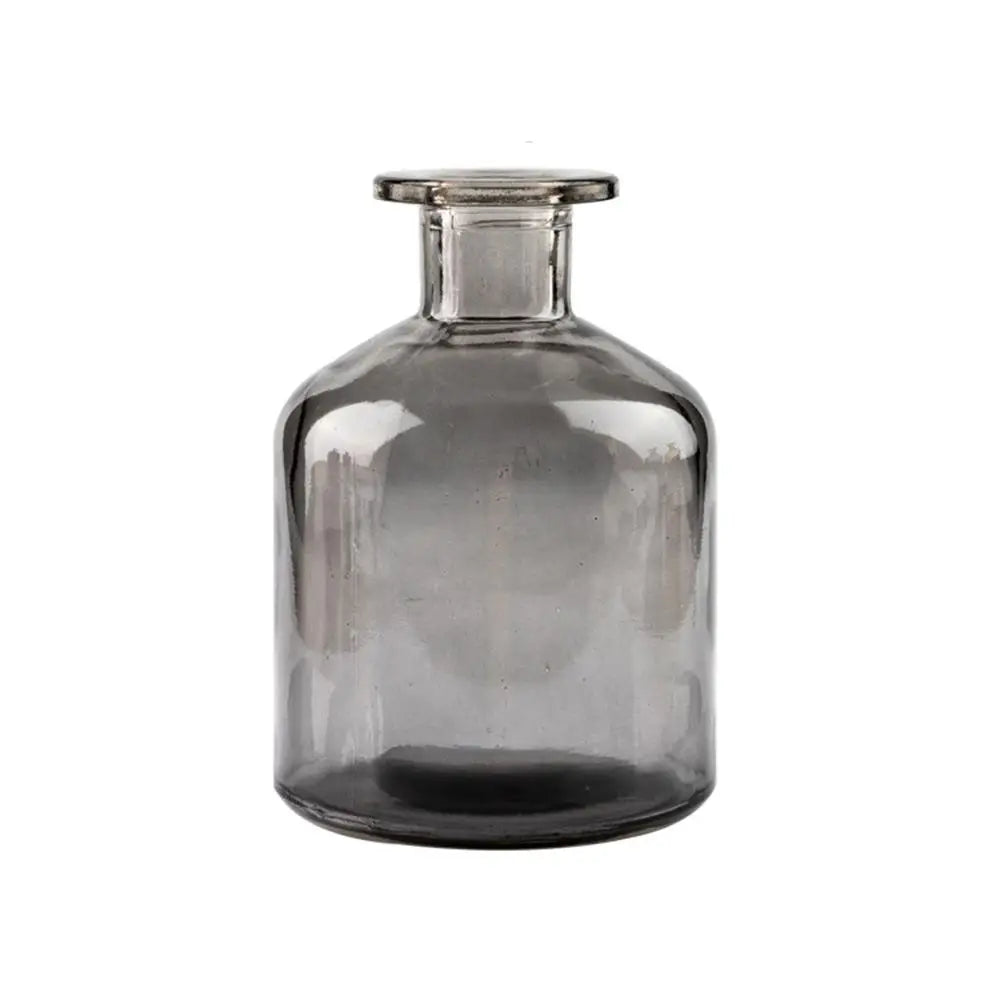 Plante hydroponique transparente, décoration florale pour salon, bouteille en verre, vase en verre, décoration de table, décoration d'intérieur