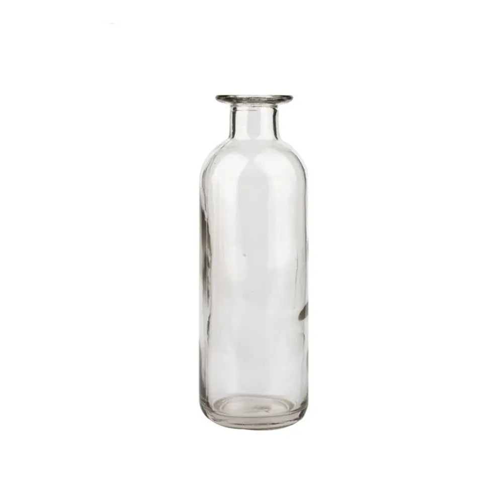 Plante hydroponique transparente, décoration florale pour salon, bouteille en verre, vase en verre, décoration de table, décoration d'intérieur