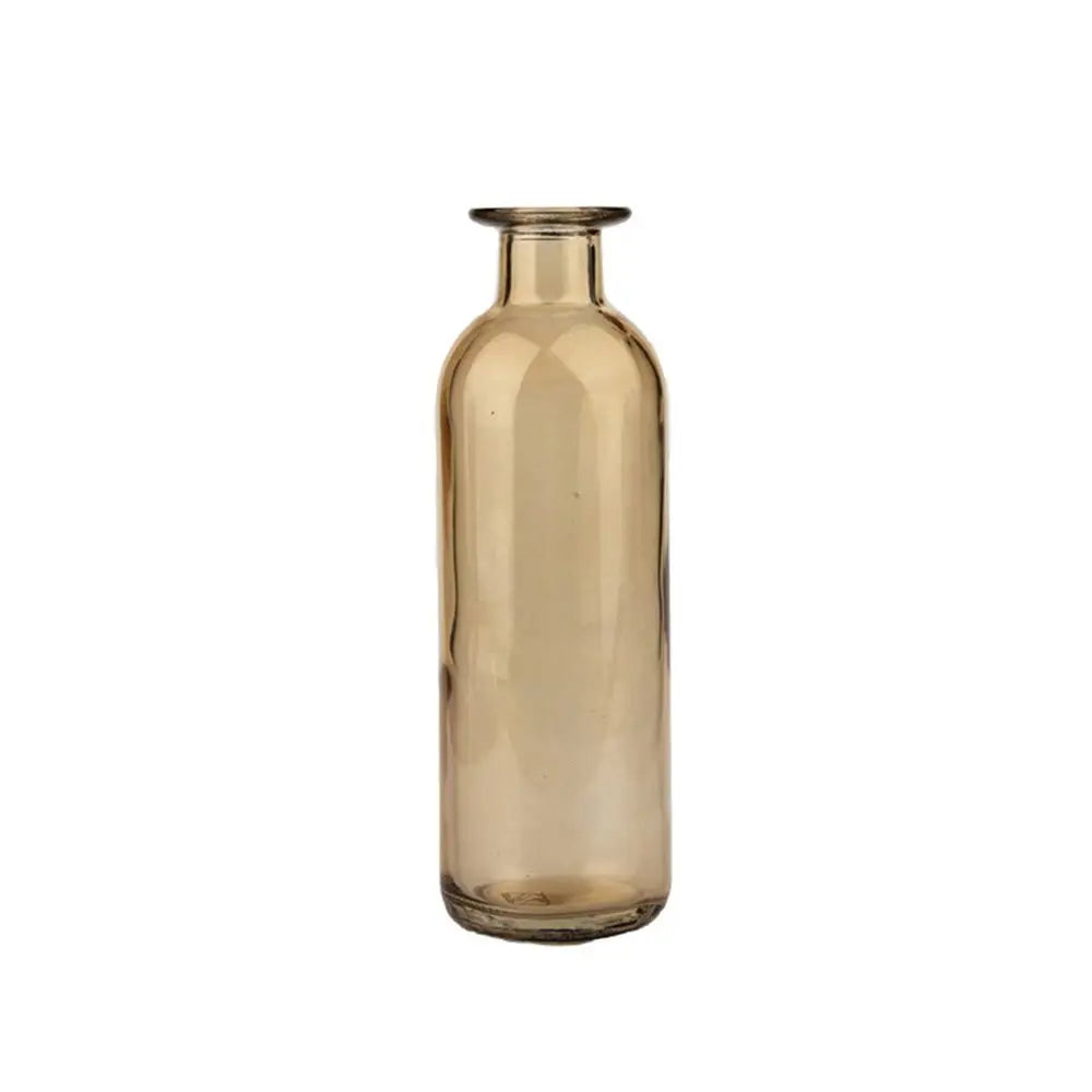 Plante hydroponique transparente, décoration florale pour salon, bouteille en verre, vase en verre, décoration de table, décoration d'intérieur