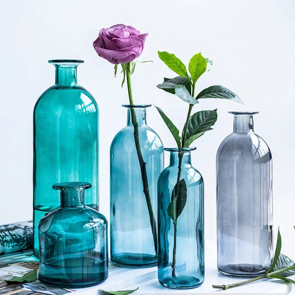 Plante hydroponique transparente, décoration florale pour salon, bouteille en verre, vase en verre, décoration de table, décoration d'intérieur