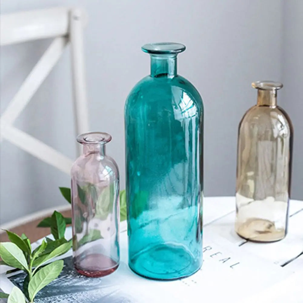 Plante hydroponique transparente, décoration florale pour salon, bouteille en verre, vase en verre, décoration de table, décoration d'intérieur