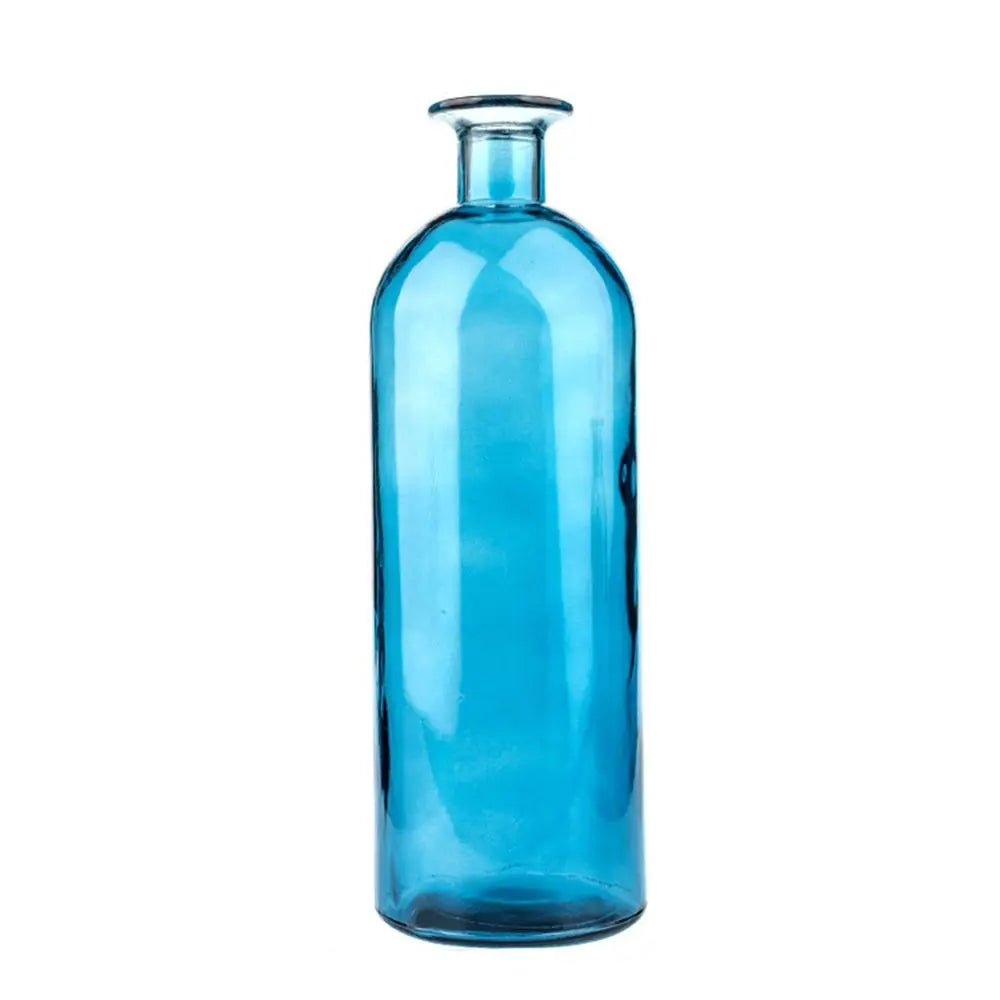 Plante hydroponique transparente, décoration florale pour salon, bouteille en verre, vase en verre, décoration de table, décoration d'intérieur