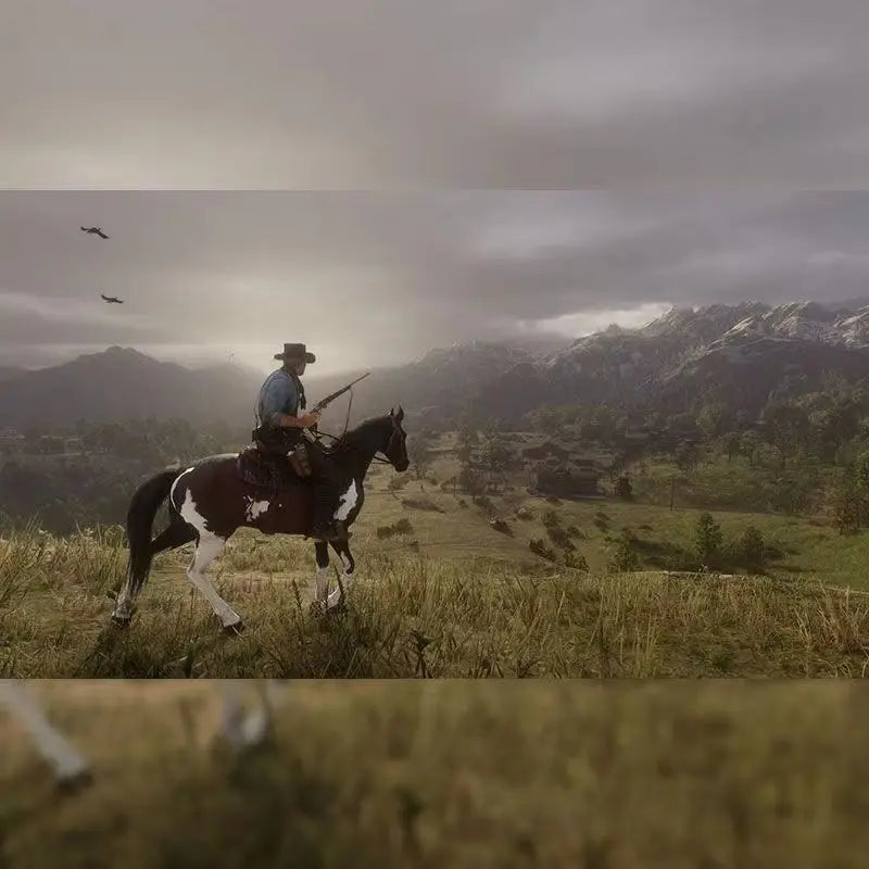 Second Hand Game Discs Red Dead Redemption 2 Sony Playstation 4 PS4 Game CD Card Playstation4 Red Dead Redemption 2