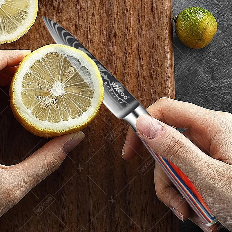 Professional Kitchen Chef's Knife Damascus Japanese Santoku Slicing Knife Meat Cleaver Stainless Steel Butcher Knife with Box