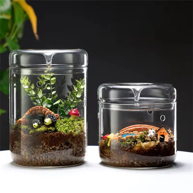 Glass Bottles Creativity Dew Collection Glass Vase Micro Landscape Succulent Moss Bansai Landscape Glass Terrarium Home Decor