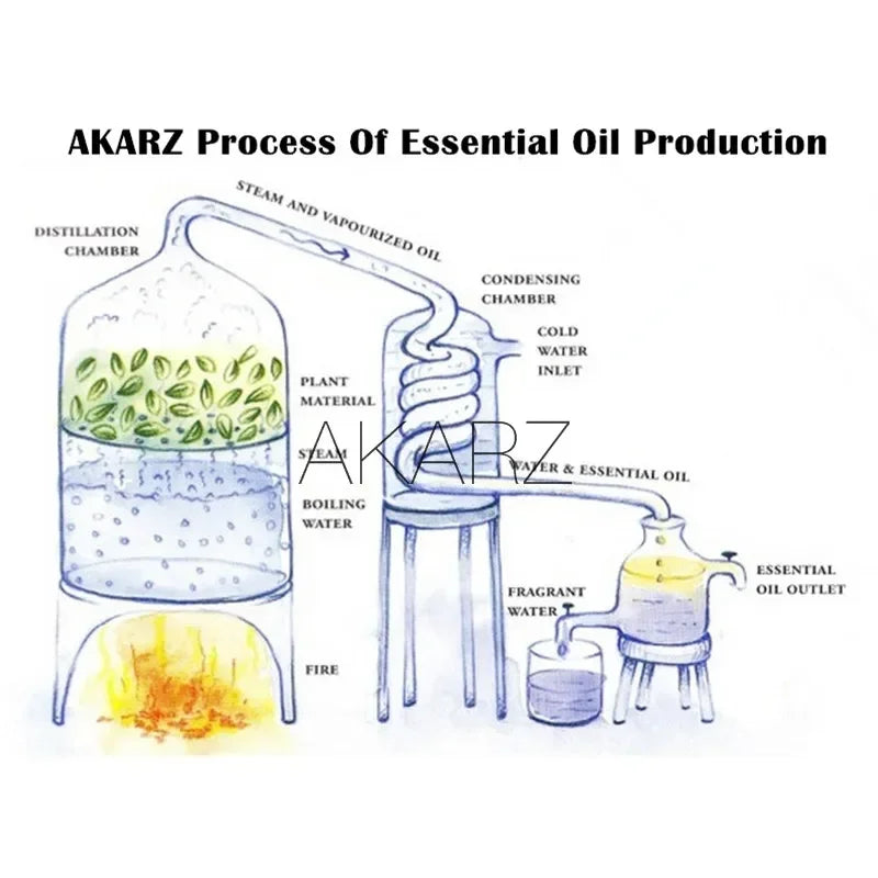 Huile essentielle aromatique rare unique AKARZ pour diffuseurs d'aromathérapie Soin de la peau visage corps Massage Huile de parfum aromatique
