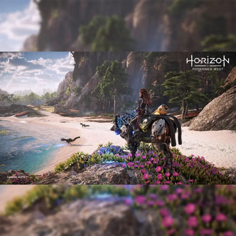 Sony PS4 Playstation4 Horizon Forbidden West PS4 Brandneu Original Lizenziertes Neues Spiel CD-Spiel Playstation 4 Spiele PS4 Horizon