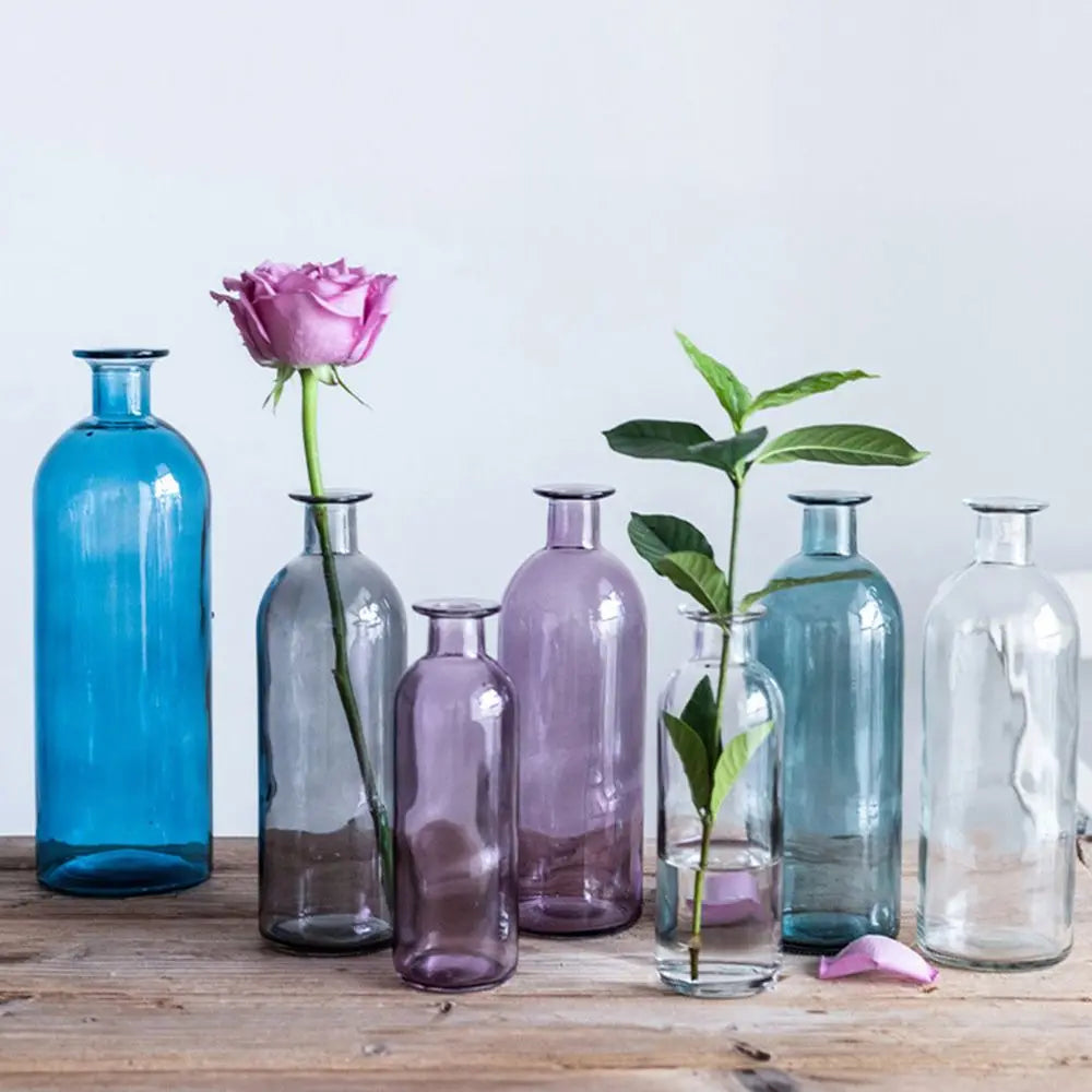 Plante hydroponique transparente, décoration florale pour salon, bouteille en verre, vase en verre, décoration de table, décoration d'intérieur