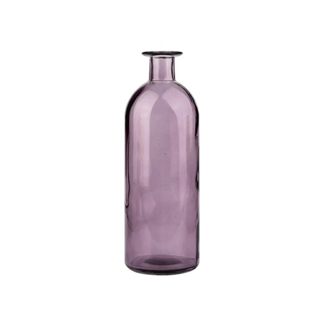 Plante hydroponique transparente, décoration florale pour salon, bouteille en verre, vase en verre, décoration de table, décoration d'intérieur