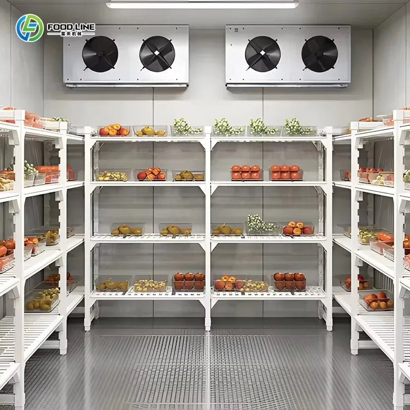 Factory Price Commercial Cold Room Quick Freezer Container Freezer 20Ft Cold Room