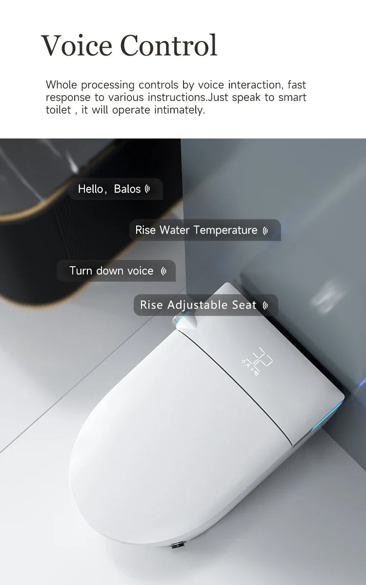 Smart Toilet , Inodoros Inteligente Remote Automatic Seat Electric Automatic Flush Wc Bidet One Piece Intelligent Bowl