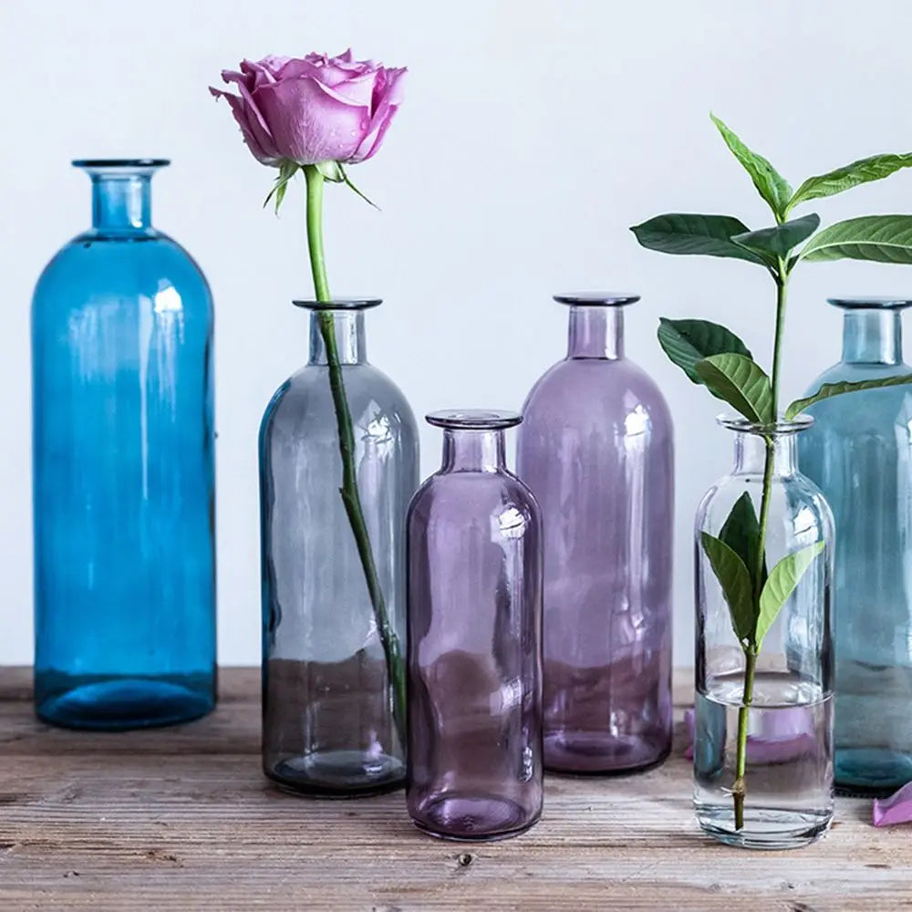 Plante hydroponique transparente, décoration florale pour salon, bouteille en verre, vase en verre, décoration de table, décoration d'intérieur