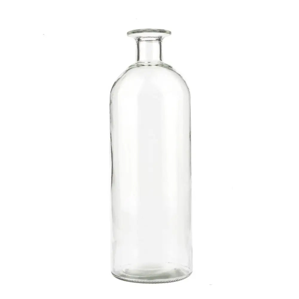 Plante hydroponique transparente, décoration florale pour salon, bouteille en verre, vase en verre, décoration de table, décoration d'intérieur