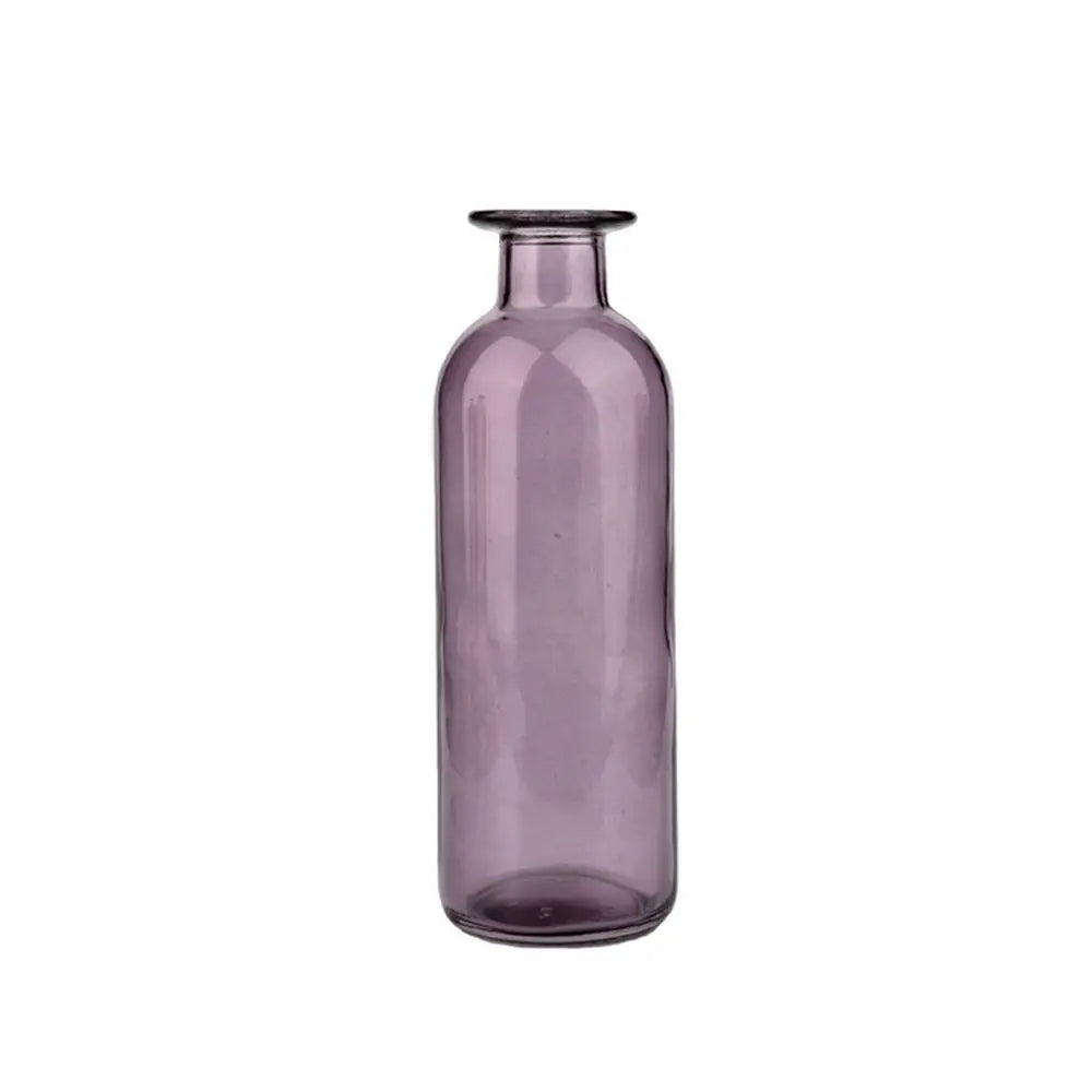 Plante hydroponique transparente, décoration florale pour salon, bouteille en verre, vase en verre, décoration de table, décoration d'intérieur