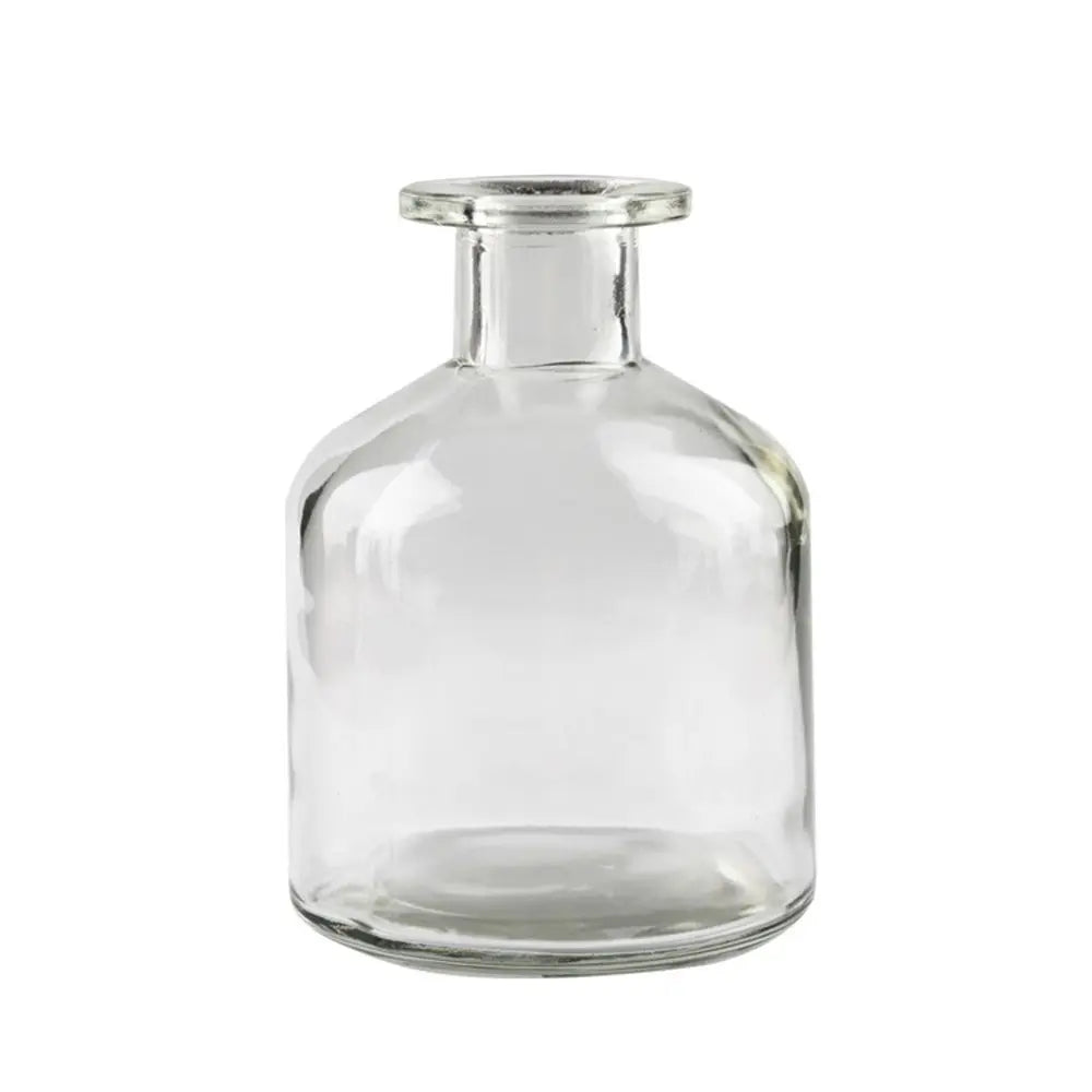 Plante hydroponique transparente, décoration florale pour salon, bouteille en verre, vase en verre, décoration de table, décoration d'intérieur