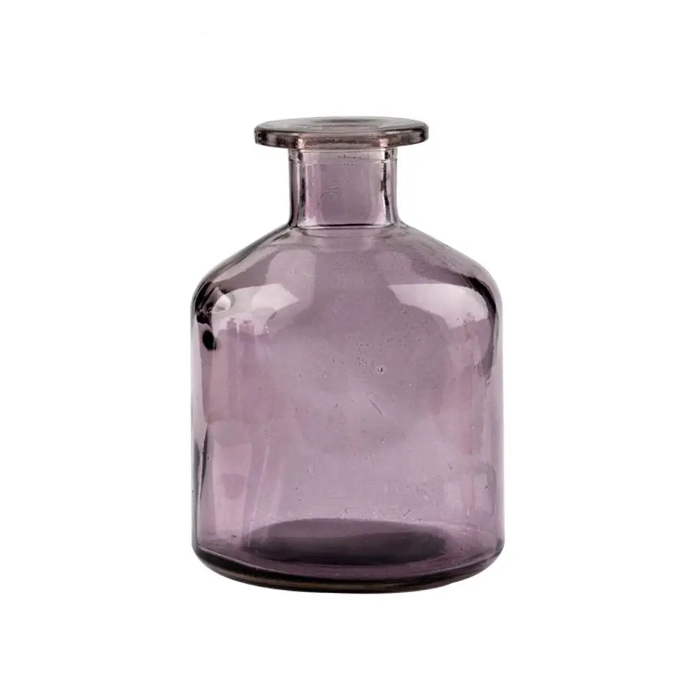 Plante hydroponique transparente, décoration florale pour salon, bouteille en verre, vase en verre, décoration de table, décoration d'intérieur