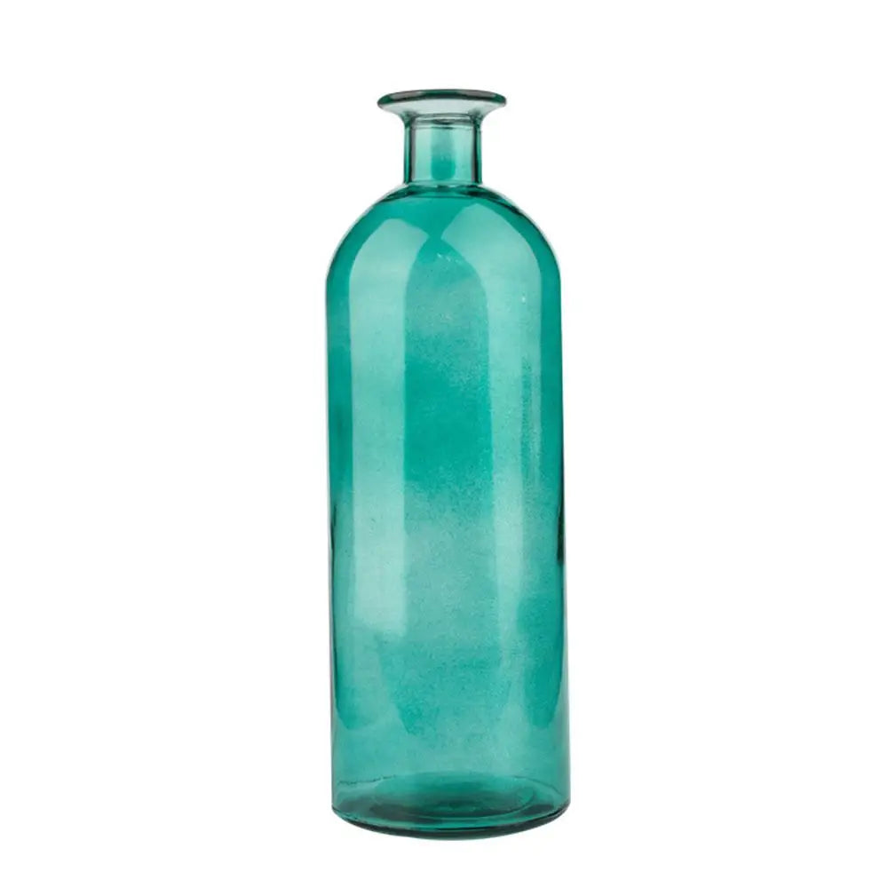 Plante hydroponique transparente, décoration florale pour salon, bouteille en verre, vase en verre, décoration de table, décoration d'intérieur