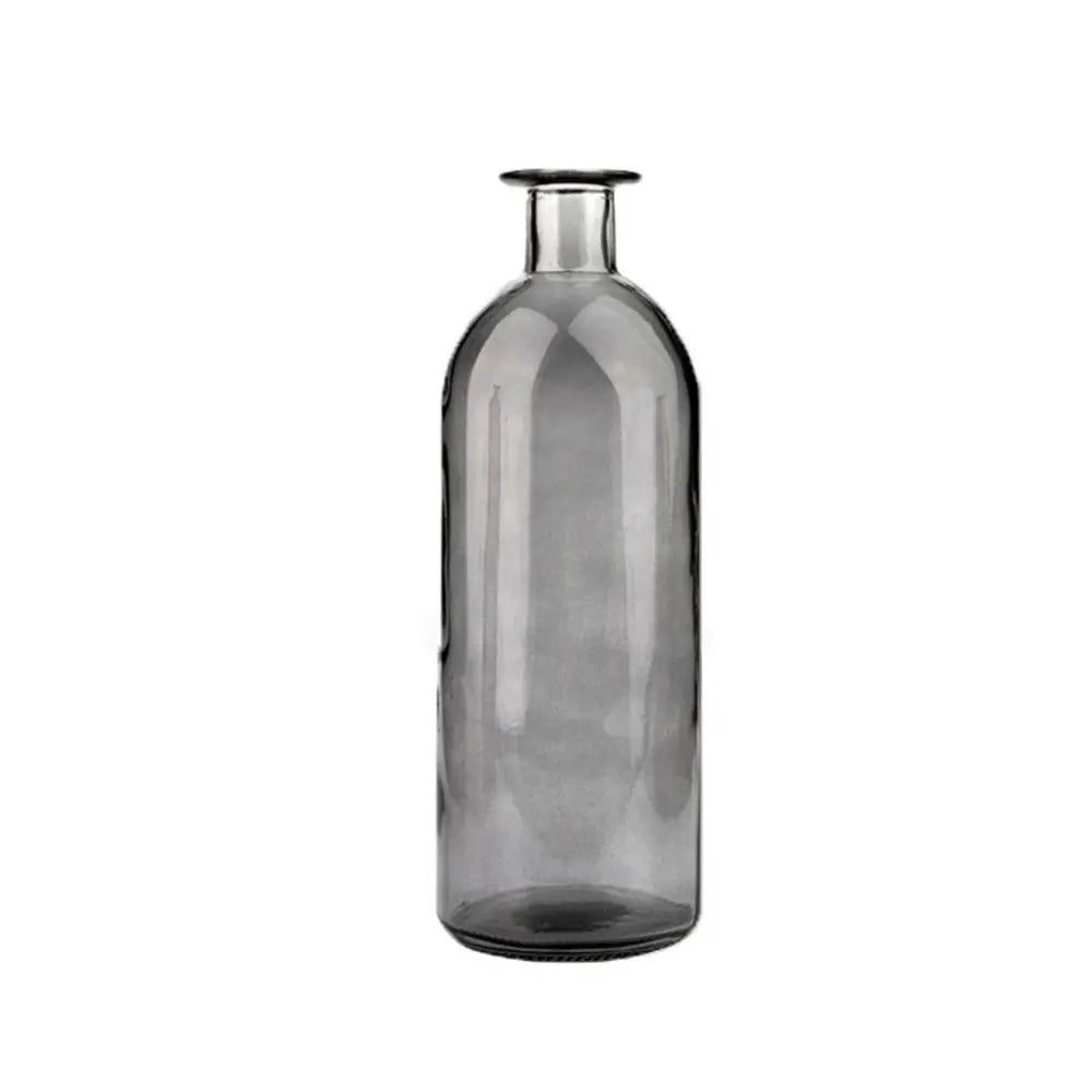 Plante hydroponique transparente, décoration florale pour salon, bouteille en verre, vase en verre, décoration de table, décoration d'intérieur